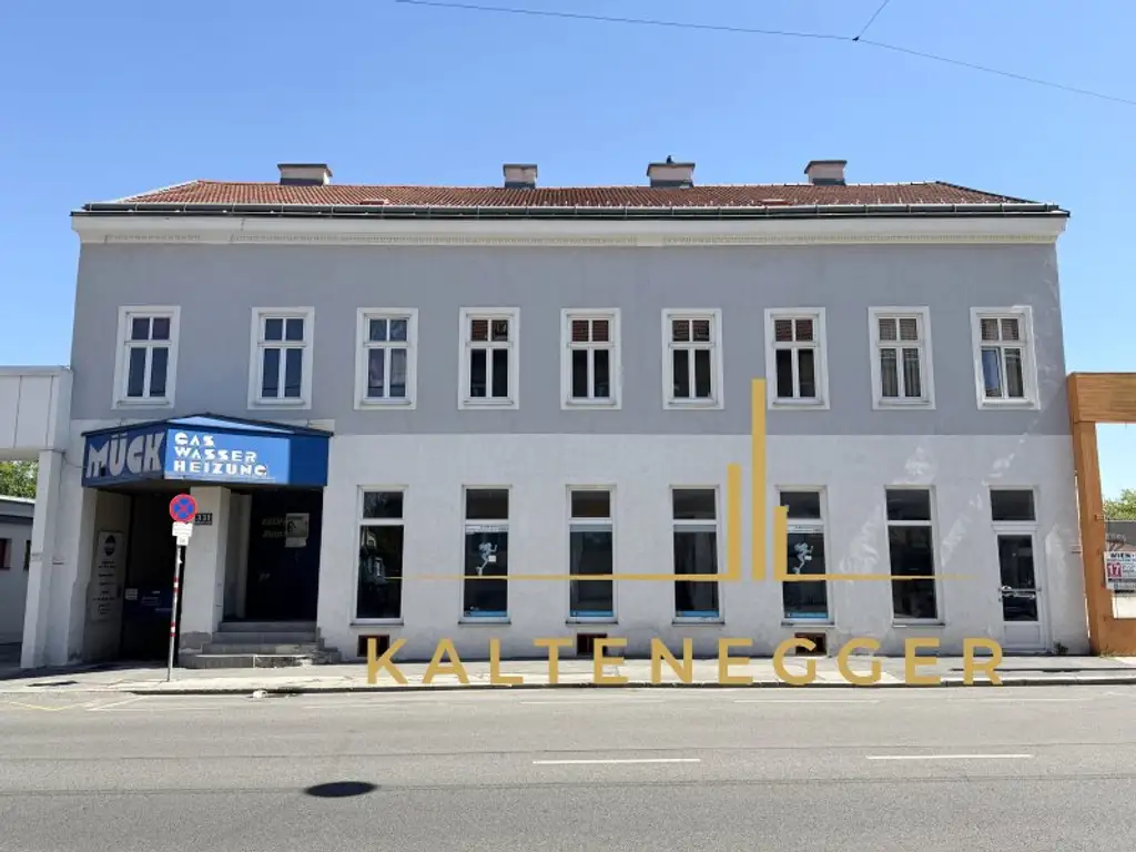 Zinshaus mit signifikantem Entwicklungspotenzial und bestandsfreien Flächen