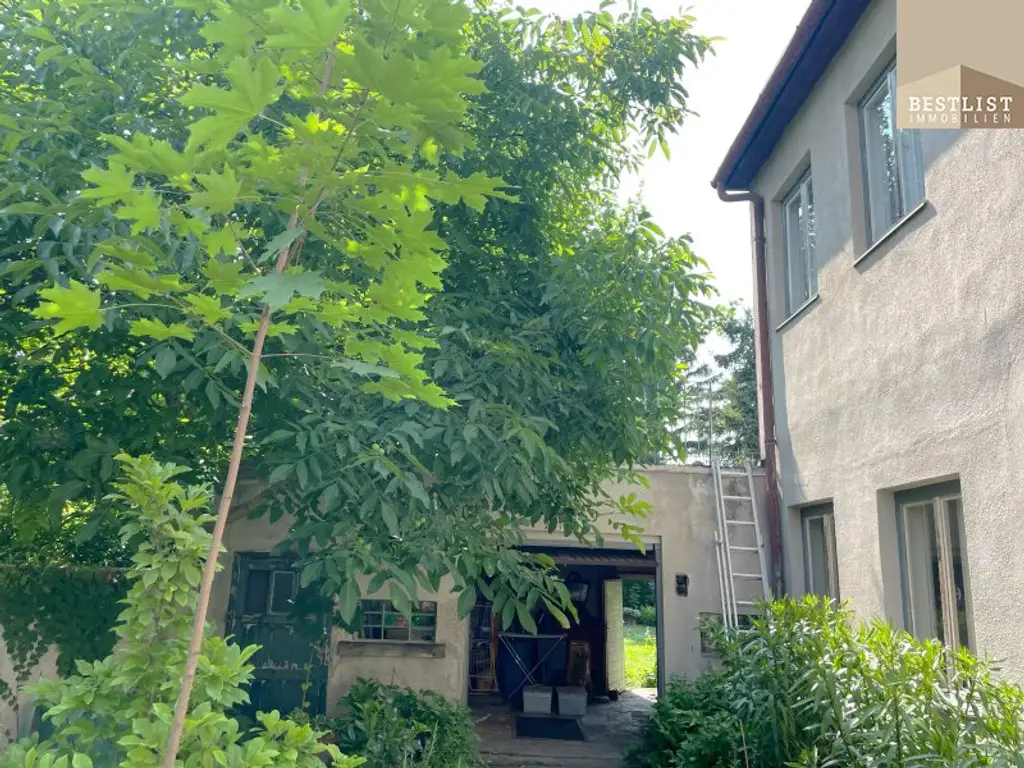 Haus - Leesdorf - Generalsanierung notwendig