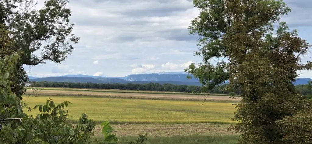 Ihre neue Aussicht?