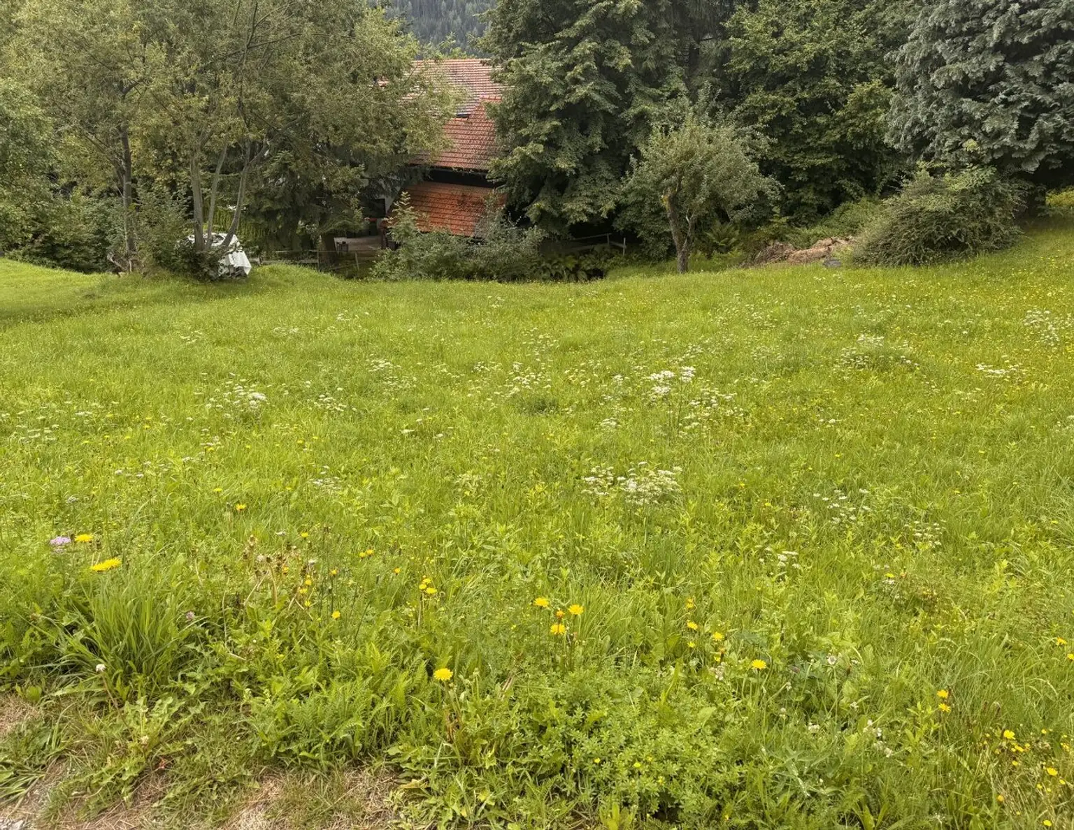 Ihr Baugrundstück in idyllischer Lage oberhalb von Radenthein, St. Peter, mit Bergblick!