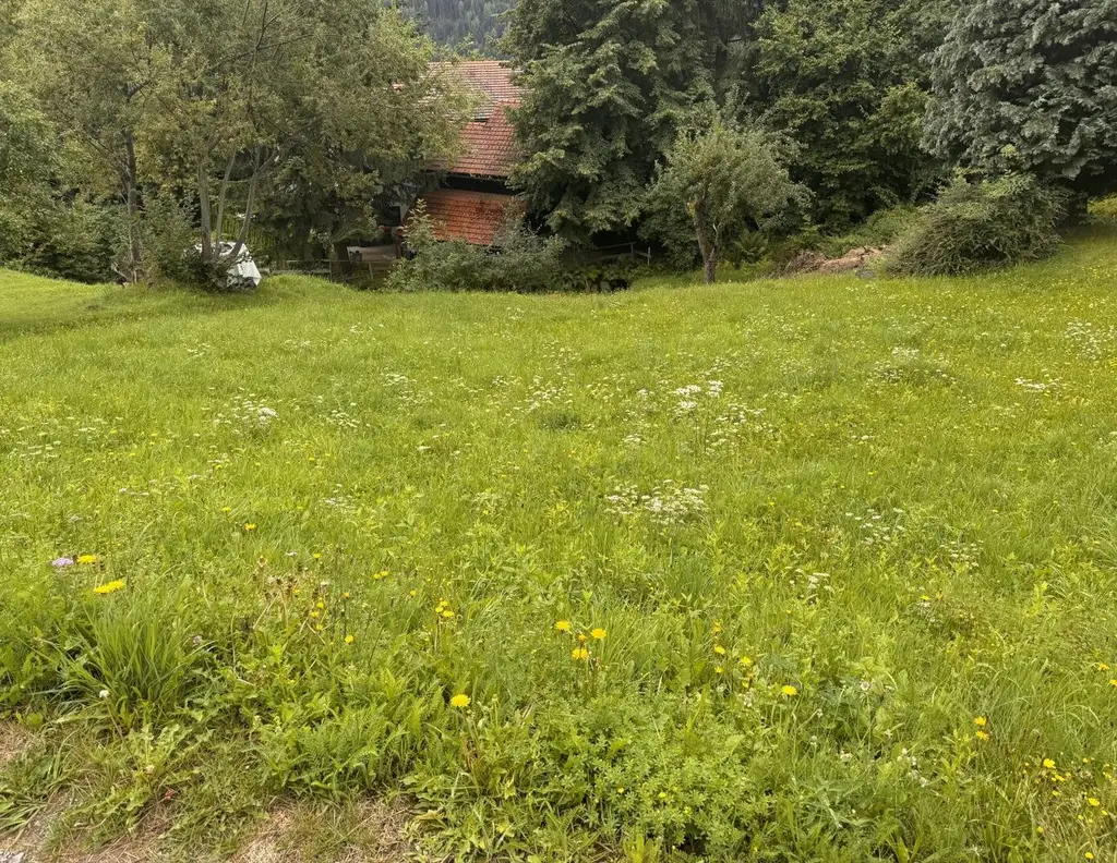 Ihr Baugrundstück in idyllischer Lage oberhalb von Radenthein, St. Peter, mit Bergblick!