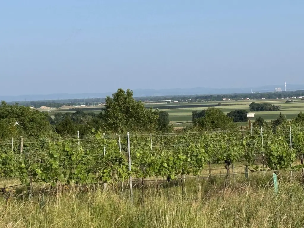 "schöööne Aussicht"