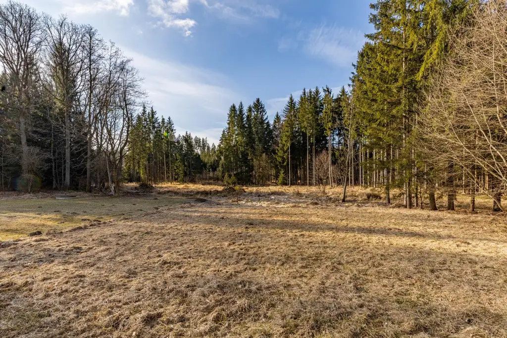 GRÜNOASE & AUSSICHTSLAGE: BAUGRUND IN KLEEDORF BEI NIEDERSCHREMS