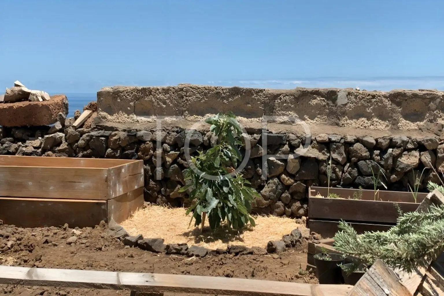 Finca-Puerto-de-la-Cruz-xxx-Teneriffa17