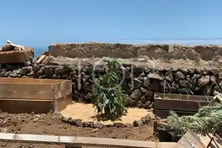 Finca-Puerto-de-la-Cruz-xxx-Teneriffa17