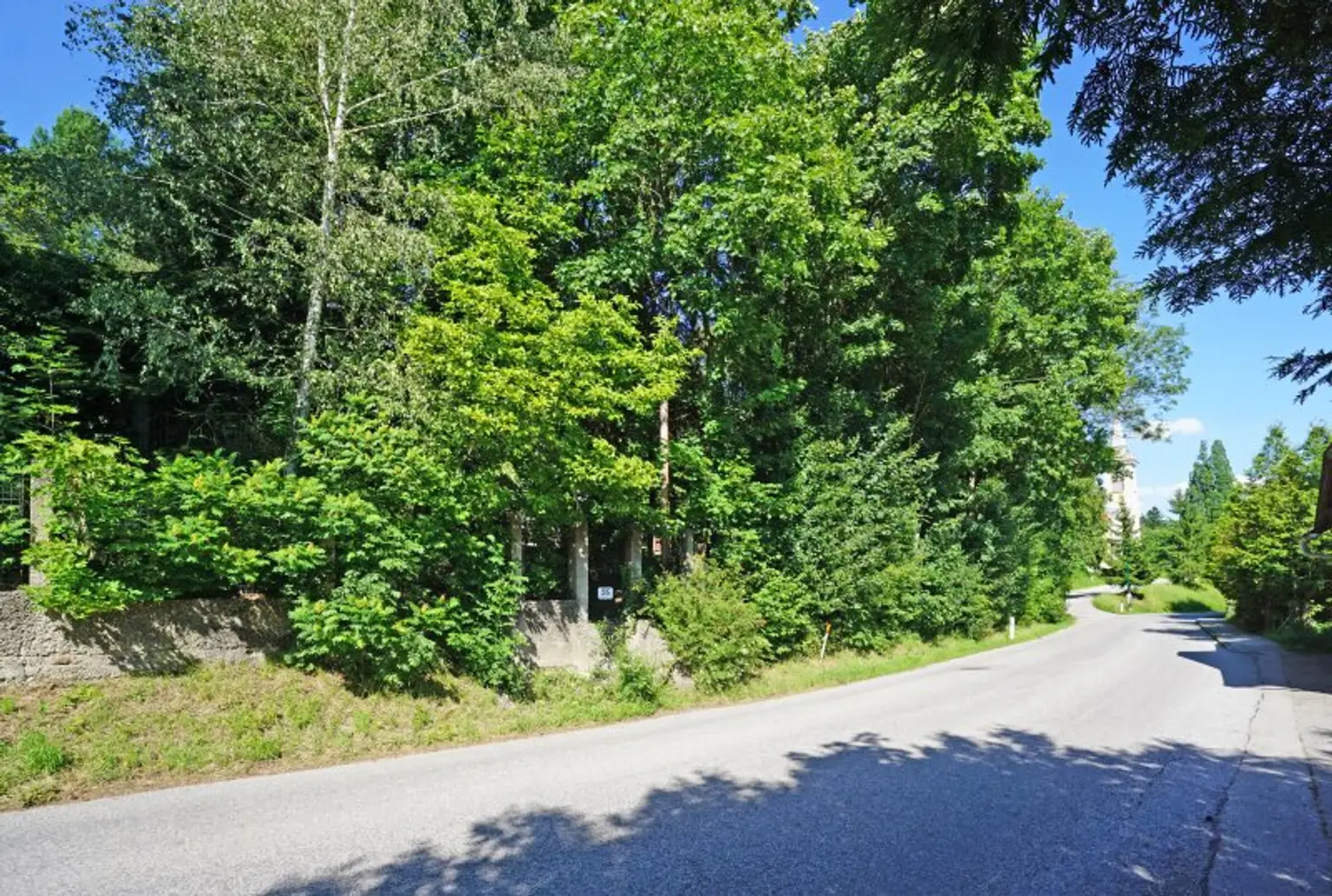 Großzügiges Baugrundstück mit Abbruchhaus und Grünlandanteil im Irenental