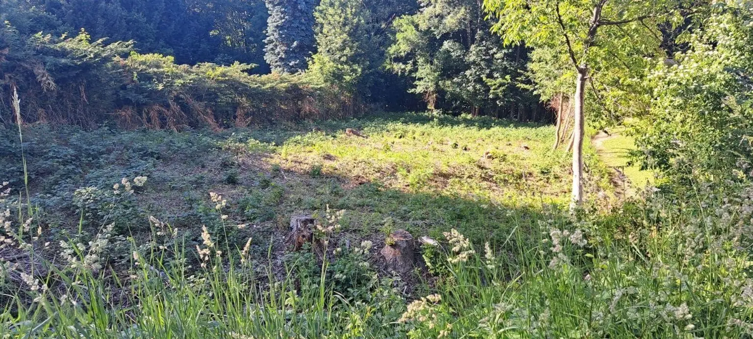 03 Grundstück