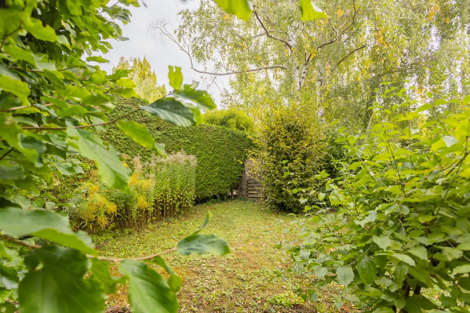 Familienfreundliches Reihenhaus mit Garten in Ruhelage – kein Vis-à-vis!
