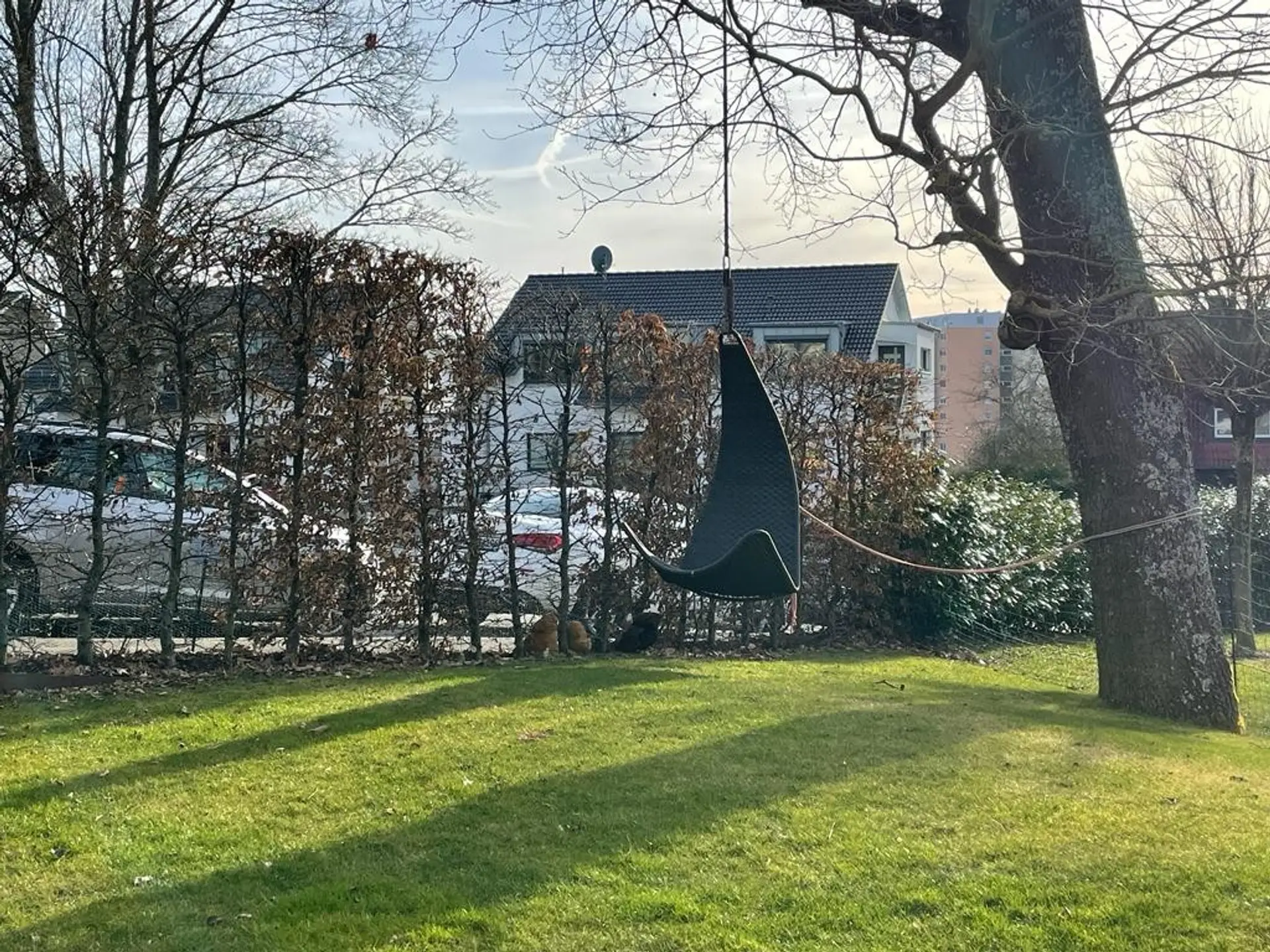 Gartenansicht Herbst Foto aus Privatbestand