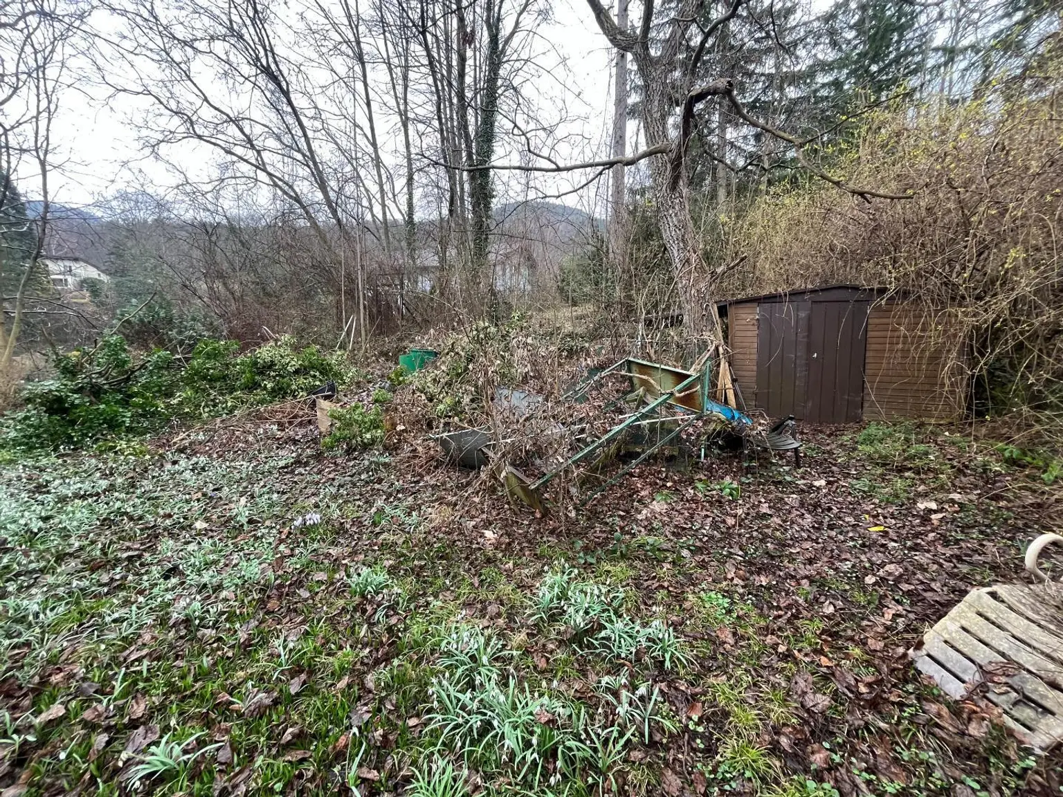 Garten