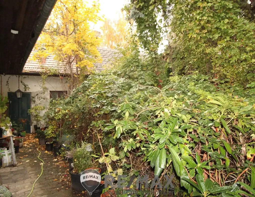 "Grundstück in Asperner Bestlage"