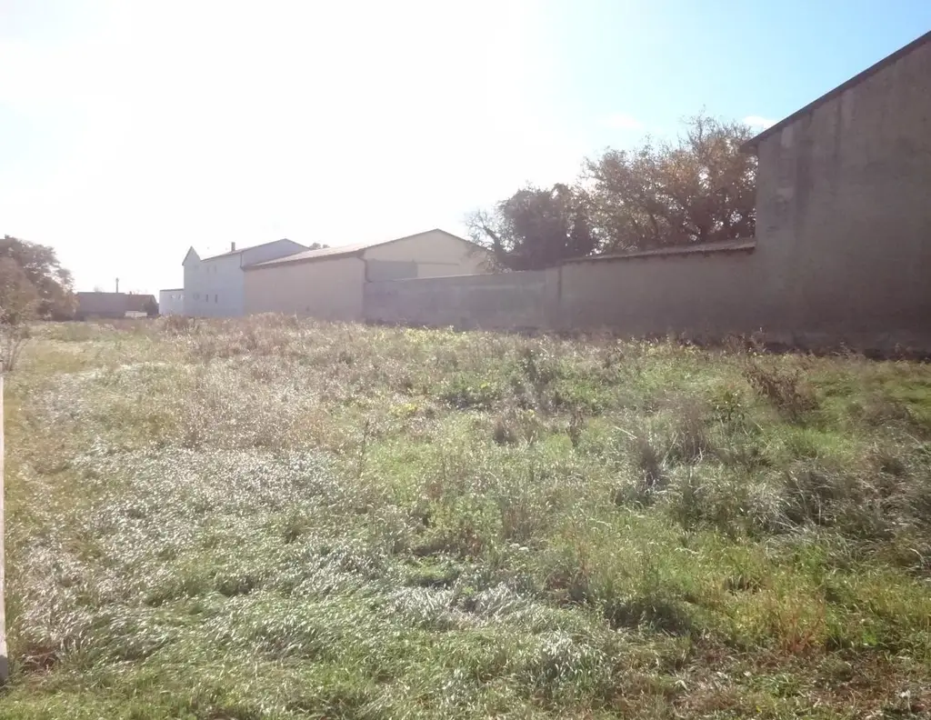 Aufgeschlossenes Grundstück in bester Lage am Ortsrand von Gols!