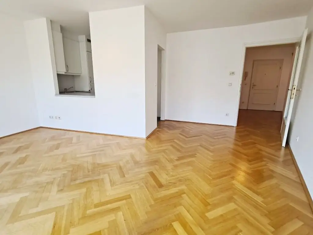 SALZTORGASSE, DONAUKANAL-NÄHE, 51 m2 Neubau mit Stehbalkon, 2 Zimmer, Komplettküche, Wannenbad, Parketten, Fernblick