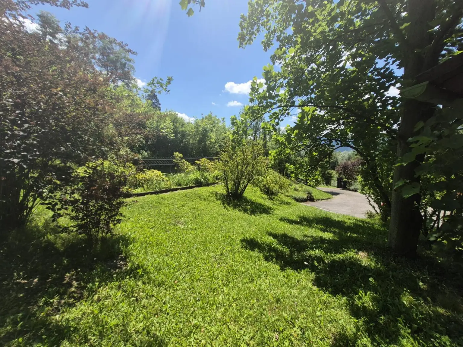 Garten6
