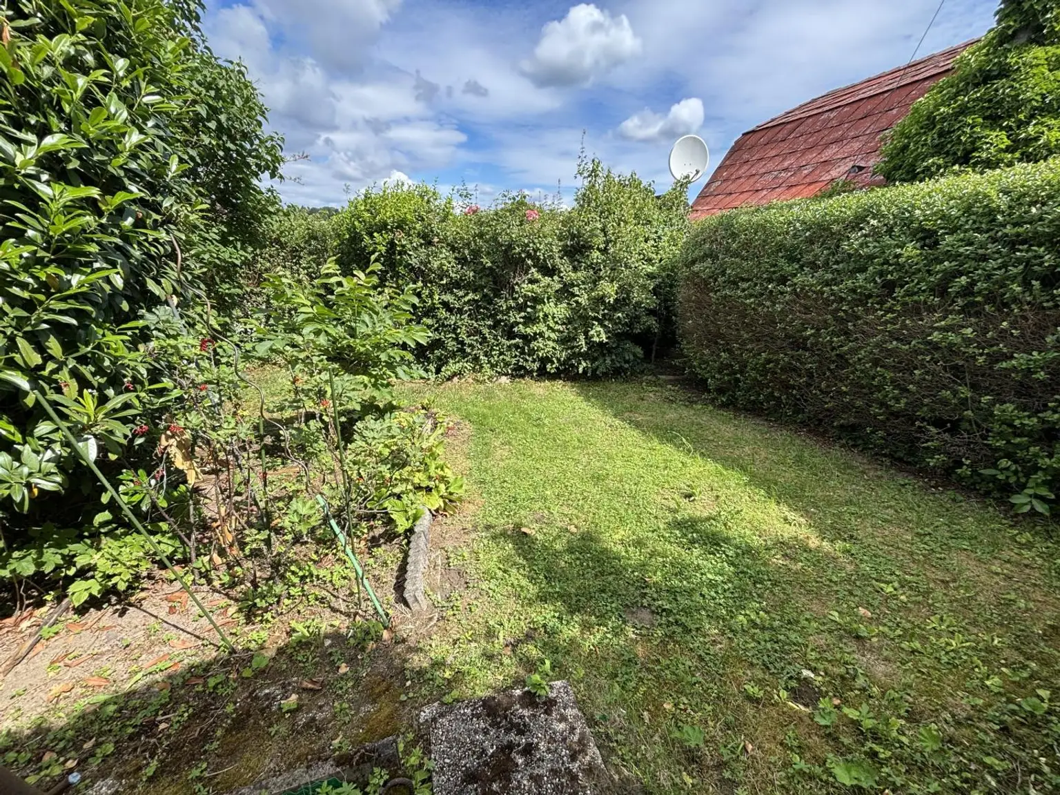 Garten_Rückseite