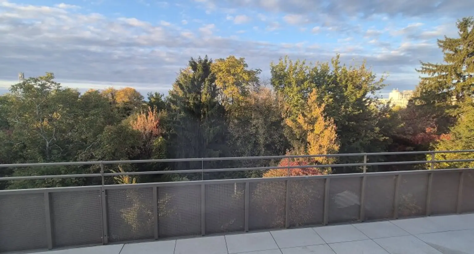 Provisionsfrei: "Das Schmuckstück" - Fertigstellung im Dezember!