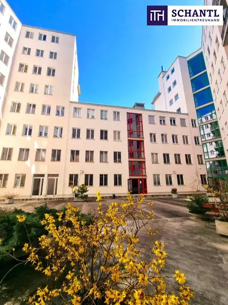 Schnell sein! Attraktive Neubauwohnung im Zentrum! Angenehme Ruhelage + Ideale Raumaufteilung + Perfekte Infrastruktur und Anbindung!