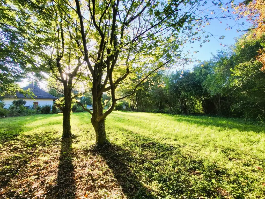 Ca. 1000m² BAUGRUND IM VIELFÄLTIG SCHÖNEN WIENERWALD-ORT GAADEN BEI MÖDLING