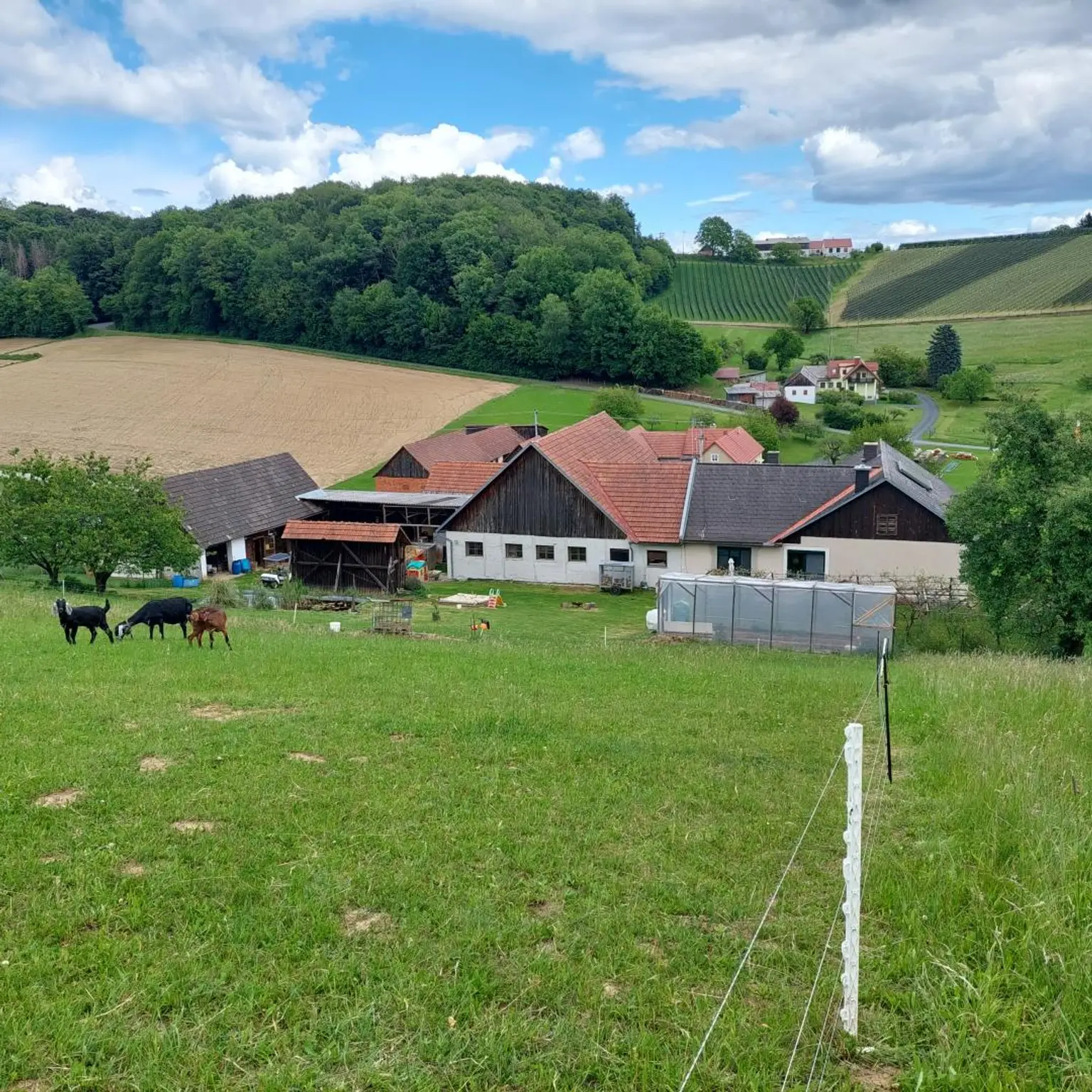 Selbstversorgeranwesen