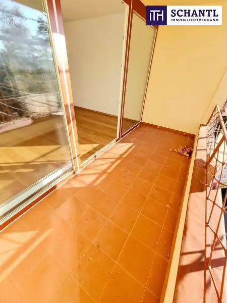 Ruheoase im Grünen! Sonnig. Saniert. Einfach super! Erstbezug mit Wohlfühlfaktor! 4 Zimmer + 2 Balkone + Garagenplatz + Hochwertige Einbauküche! Grün wohin das Auge reicht!