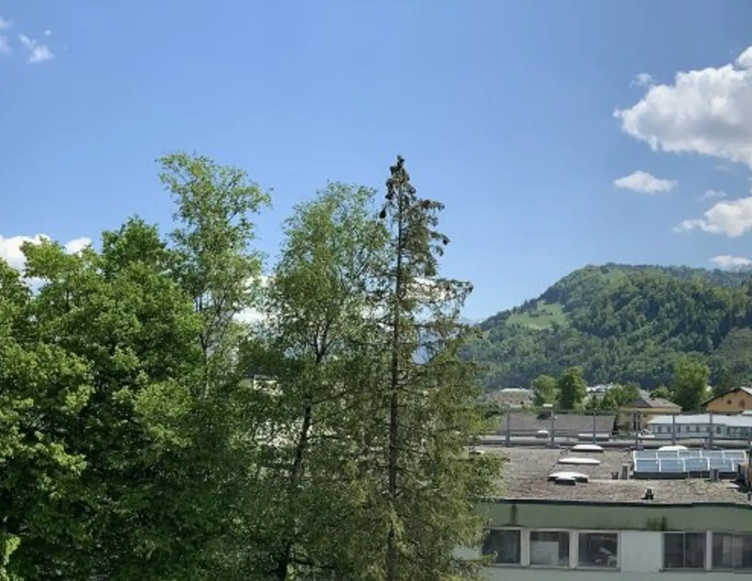 Neuwertige Dachterrassenwohnung in Hallein