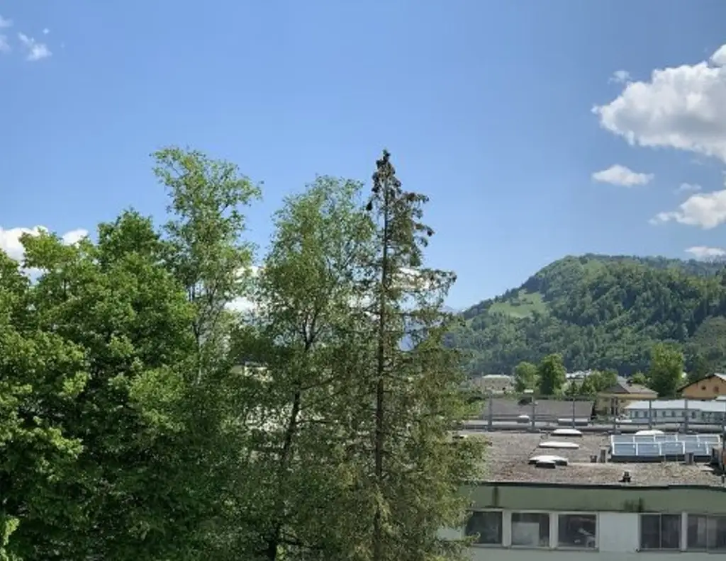 Neuwertige Dachterrassenwohnung in Hallein