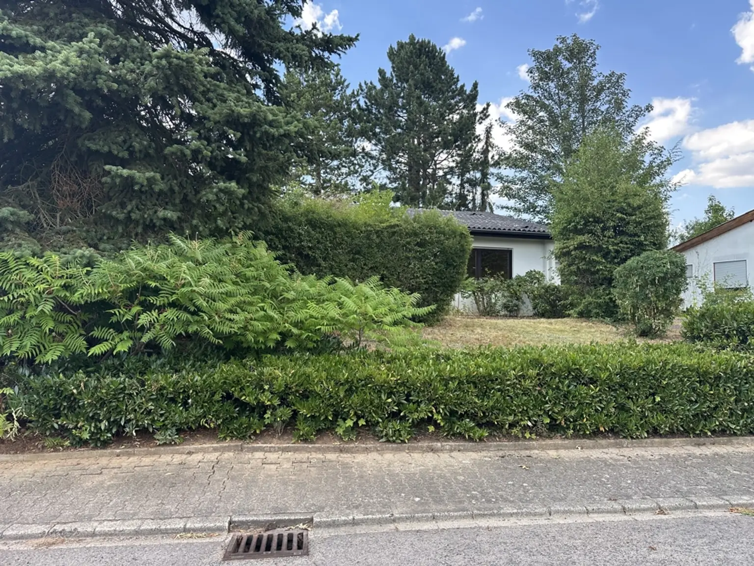 IMG_8856