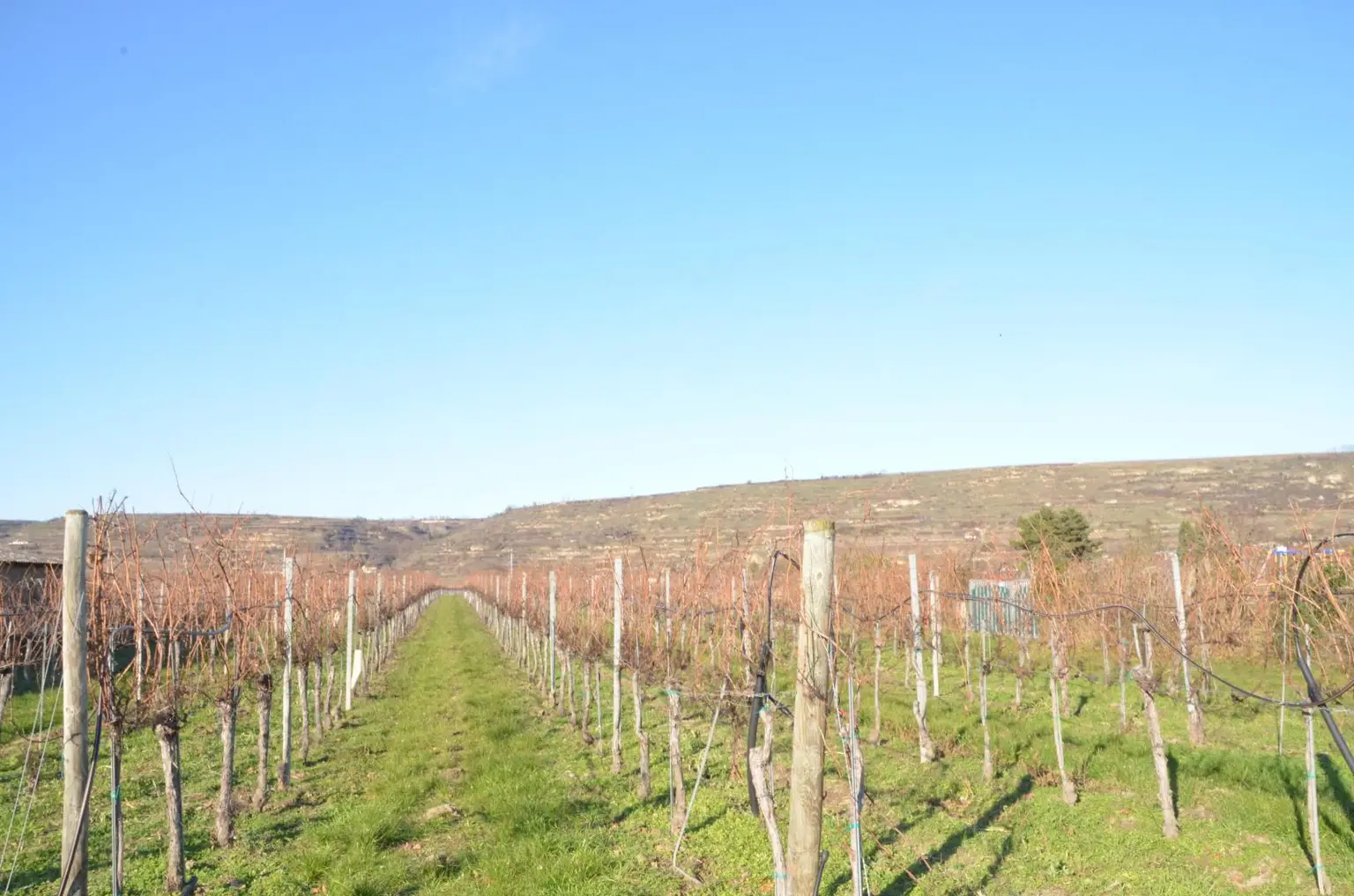 Grundstück Ansicht 2