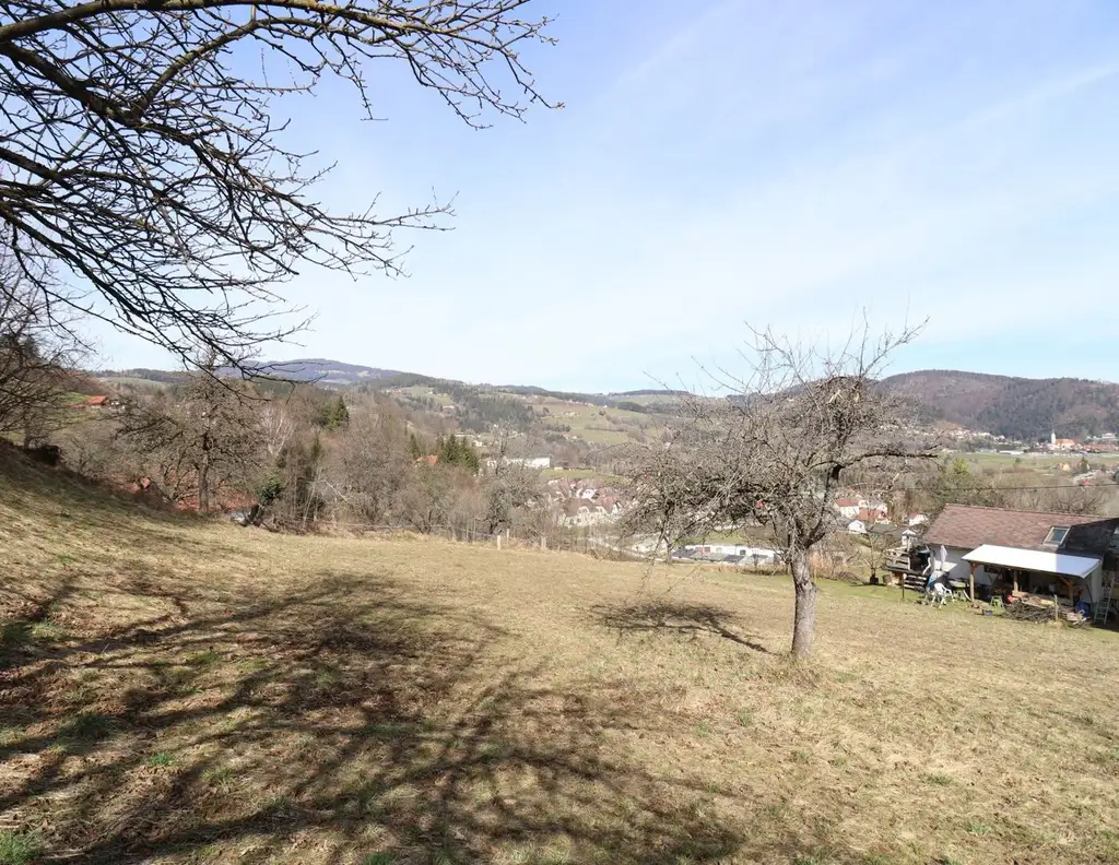 Weitblick nahe Maria Lankowitz