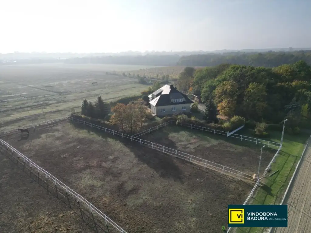 Exklusive Reitsportanlage vor den Toren Wiens – 145 Boxen | Reithallen | Reitplätze | Koppeln | Villa & Personalwohnungen