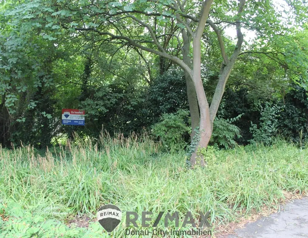 "!!!Baugrund visavis vom Stadtpark!!!"