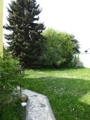 Garten (teilweise)