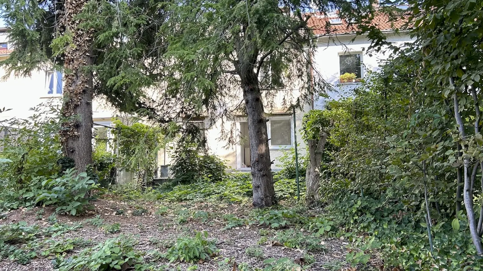 Rückansicht