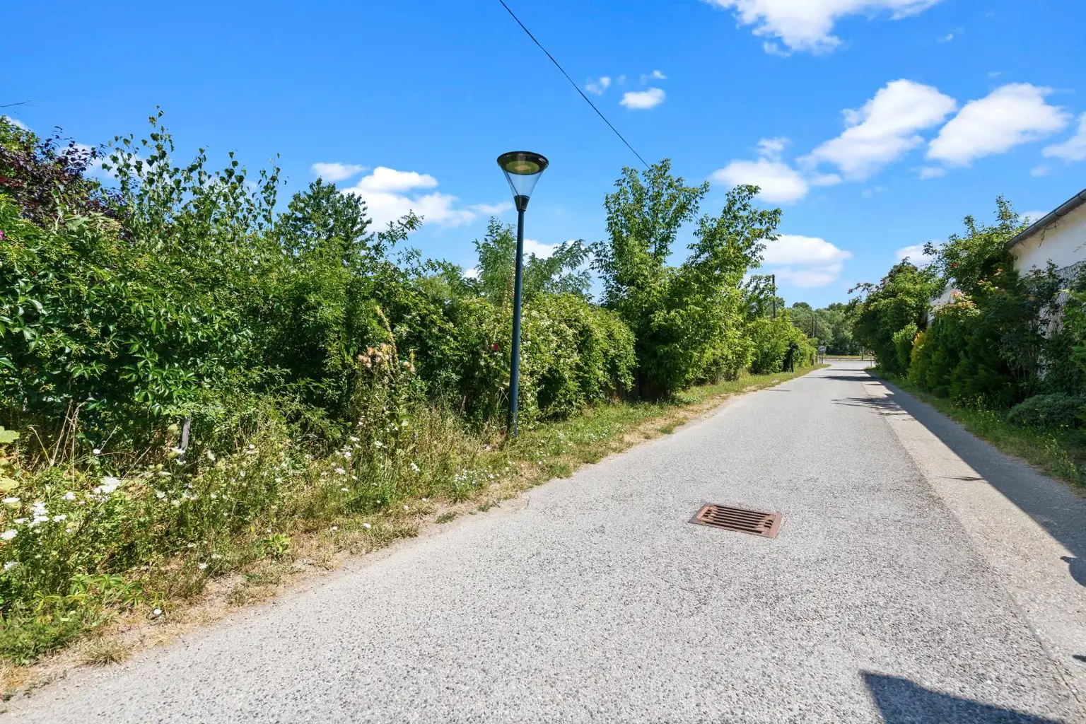 2262-Stillfried-Gänserndorf_5