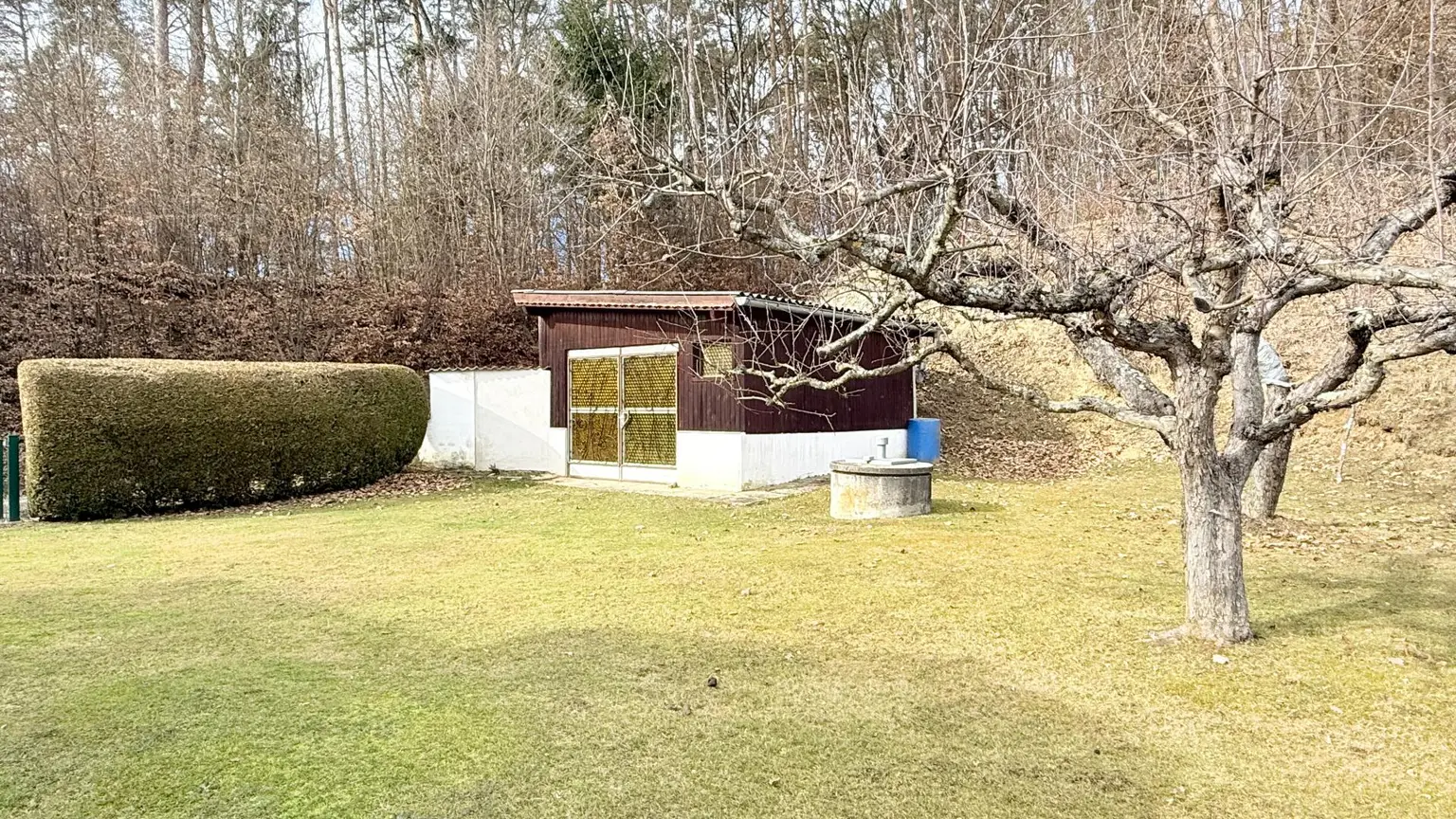 Gartenhaus/Holzlager und daneben Nutzwasserbrunnen