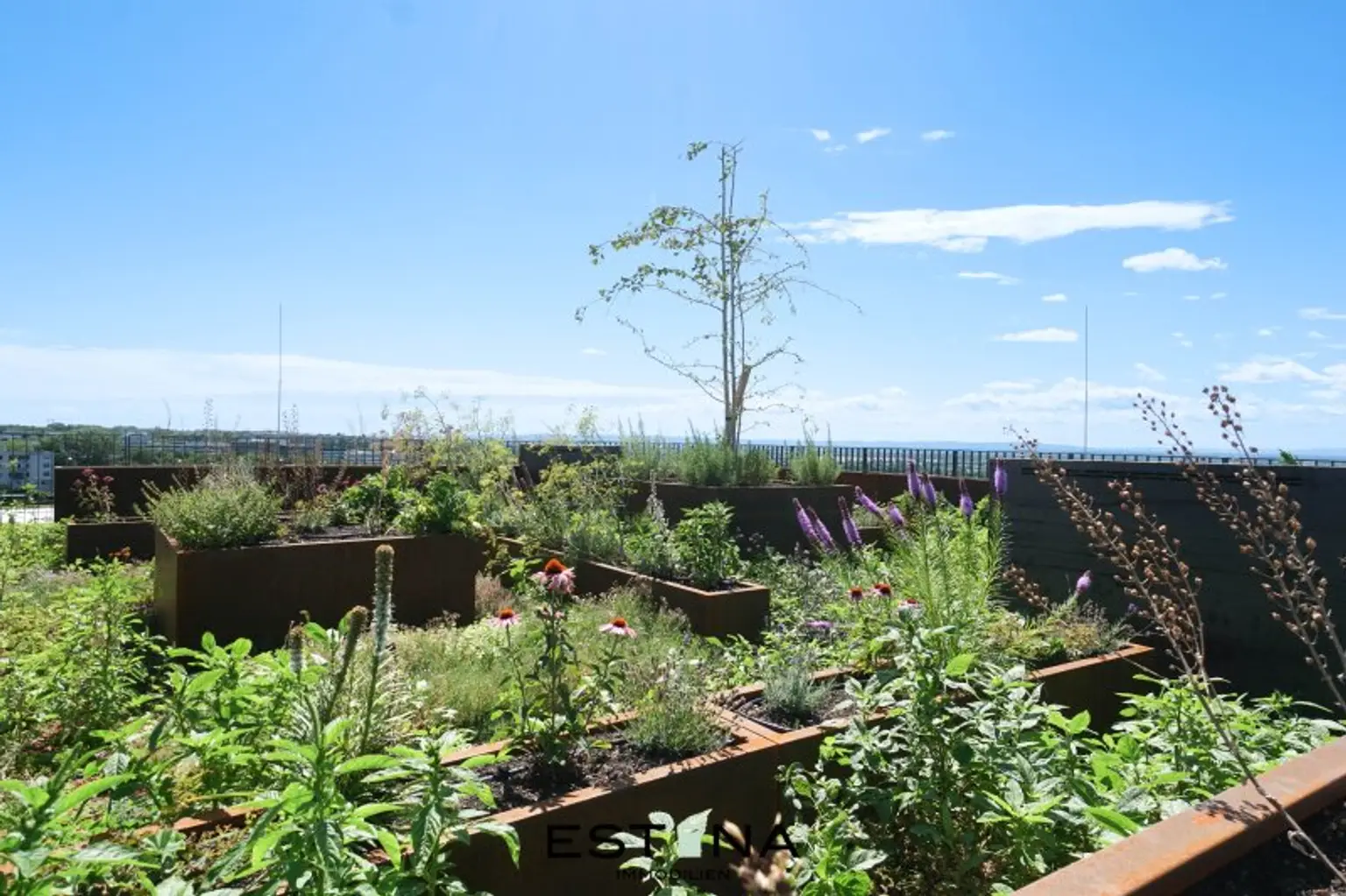 Nähe Erholungsgebiet Wienerberg - Pärchenwohnung mit Balkon