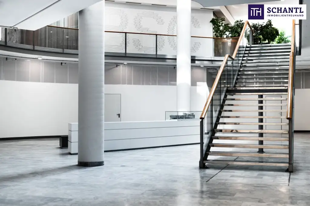 Der perfekte Ort für Ihr Business – Hier wird Erfolg großgeschrieben! 150 m² Bürofläche in Liebenau! Gleich anfragen & begeistern lassen