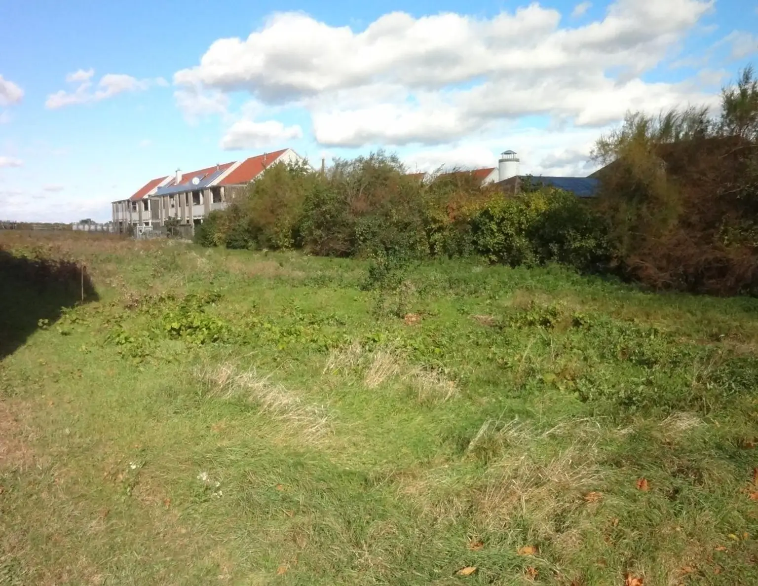 Aufgeschlossenes Grundstück in bester Lage am Ortsrand von Gols!