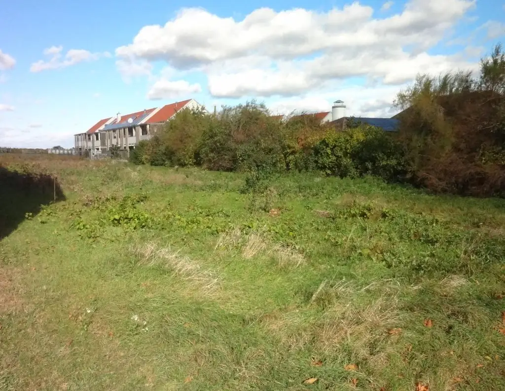 Aufgeschlossenes Grundstück in bester Lage am Ortsrand von Gols!