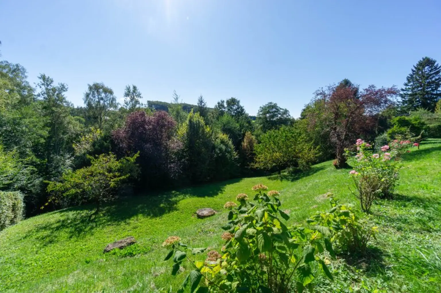 Einfamilienhaus auf sonnigem Doppelgrundstück in fabelhafter Aussichtslage