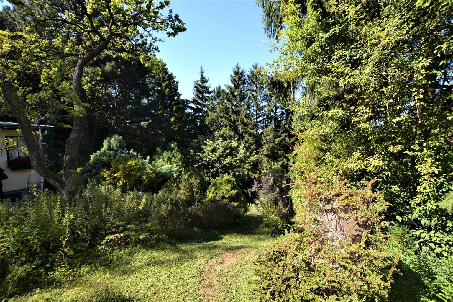 Baugrundstück im Augustinerwald - Naturidylle mit Hanglage
