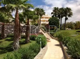 Oasis-La-Caleta-Green-Areas-Tenerife-3