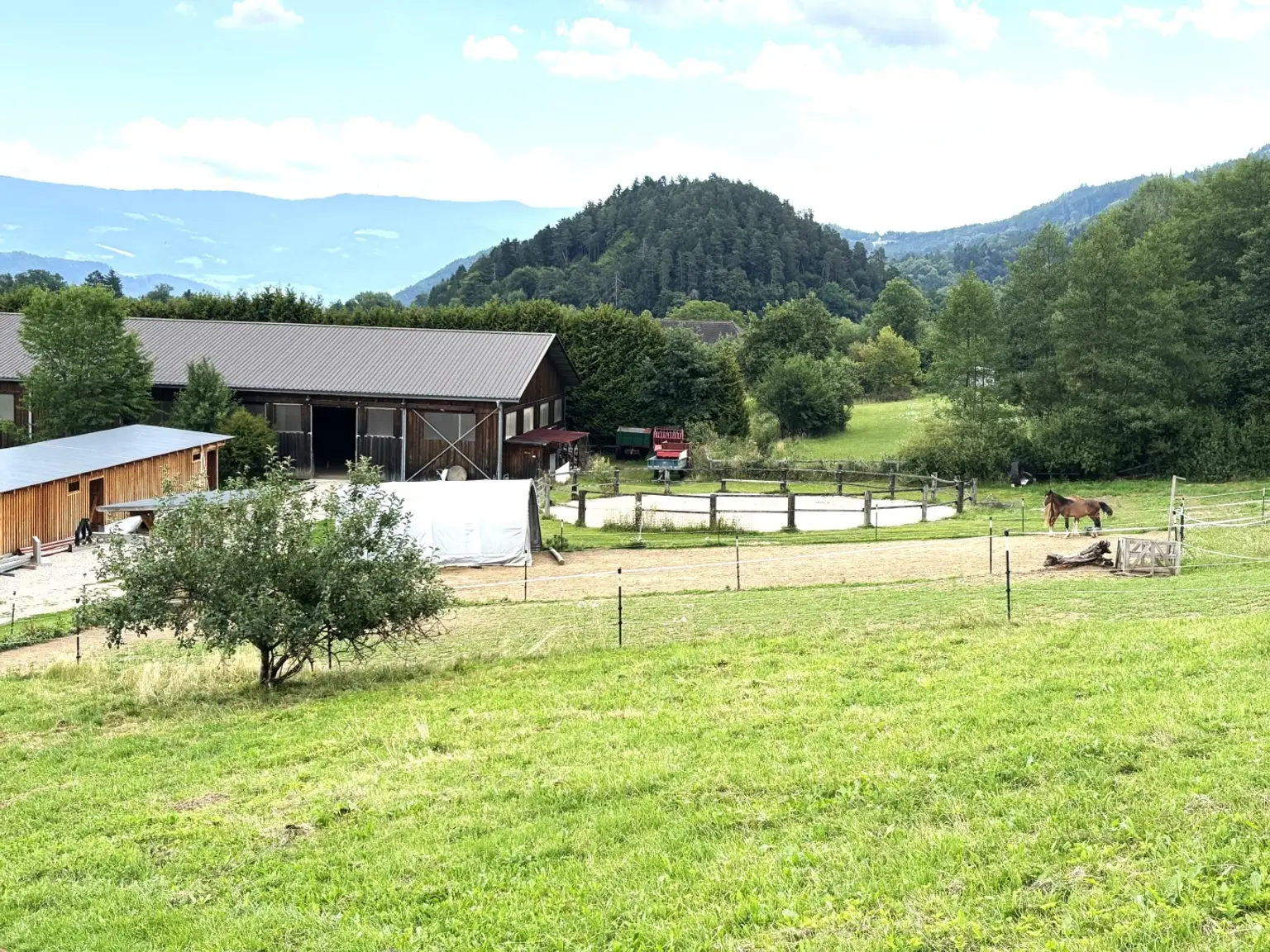 KLEINLANDWIRTSCHAFTLICHES JUWEL! CA.10 HEKTAR WALD! WIESEN! BETRIEBSFLÄCHEN!