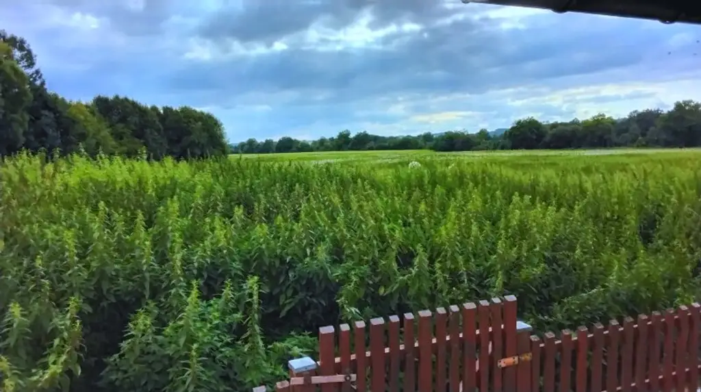 Ein Refugium der Ruhe und Entspannung.