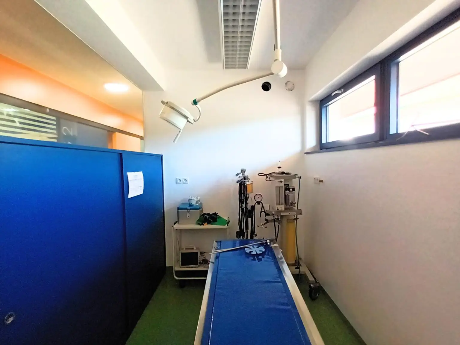 89,5 m² Tierarztpraxis, Ordination in Mürzhofen – sofort verfügbar