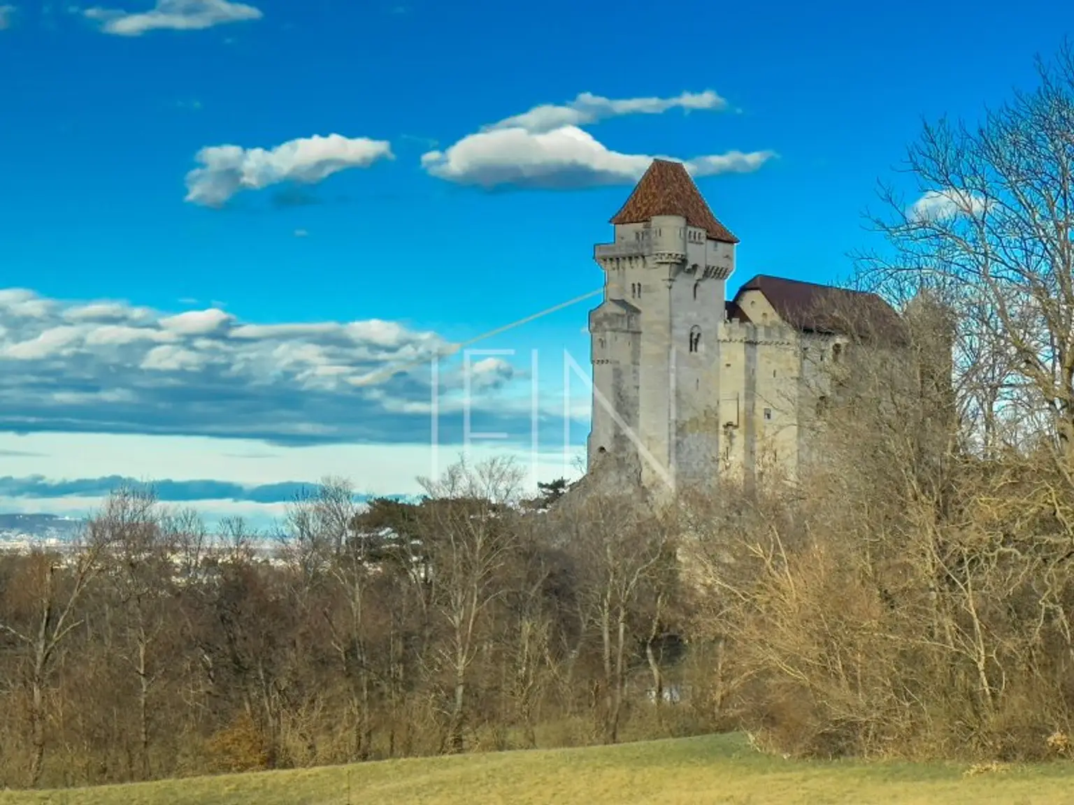 Burg Liechtenstein
