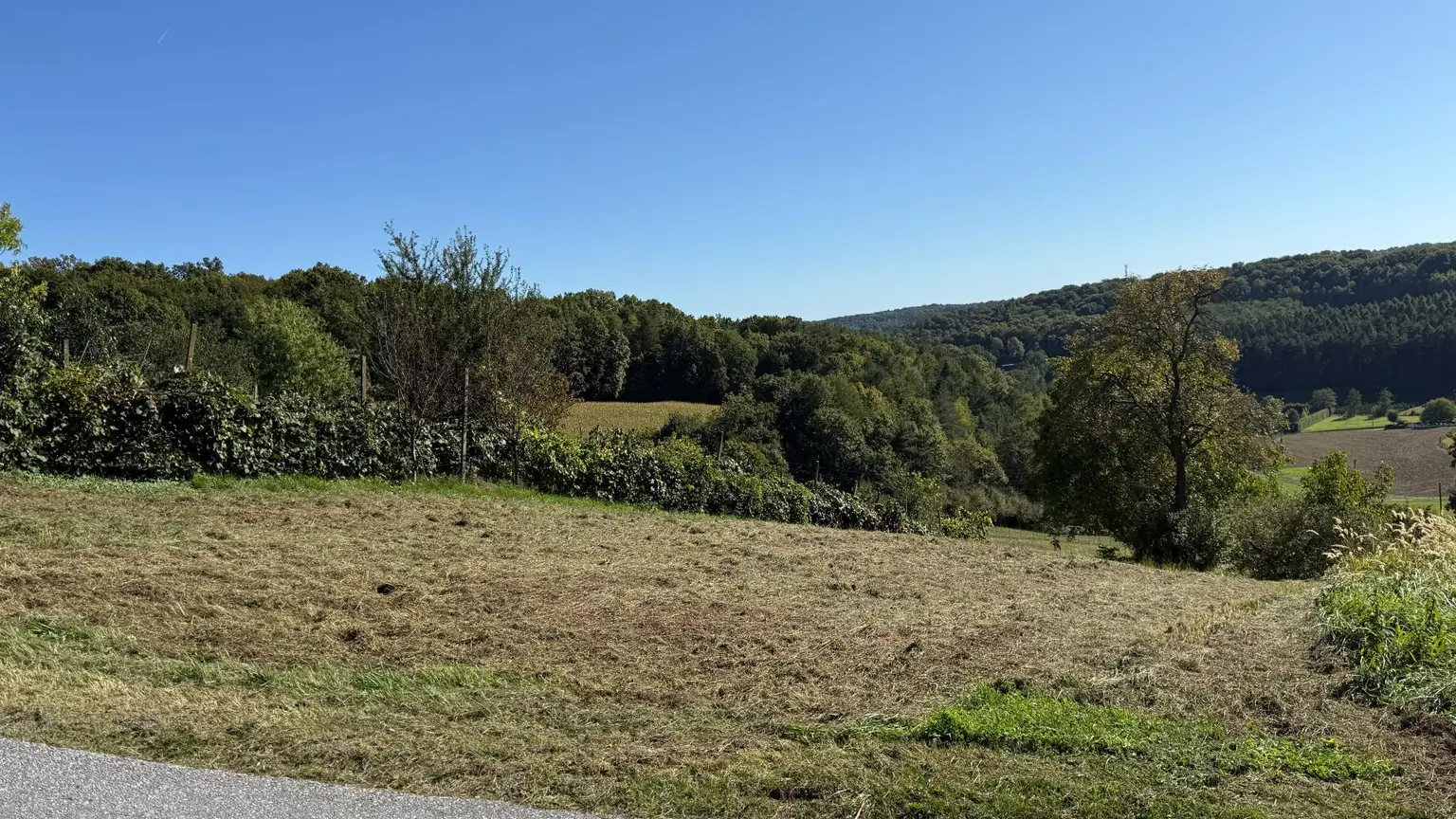 Idyllisches Kellerstöckl mit historischem Charme inmitten von Weingärten & Obstbäumen
