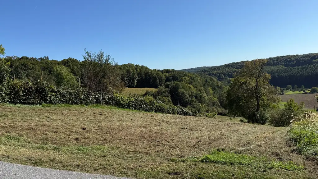 Idyllisches Kellerstöckl mit historischem Charme inmitten von Weingärten & Obstbäumen