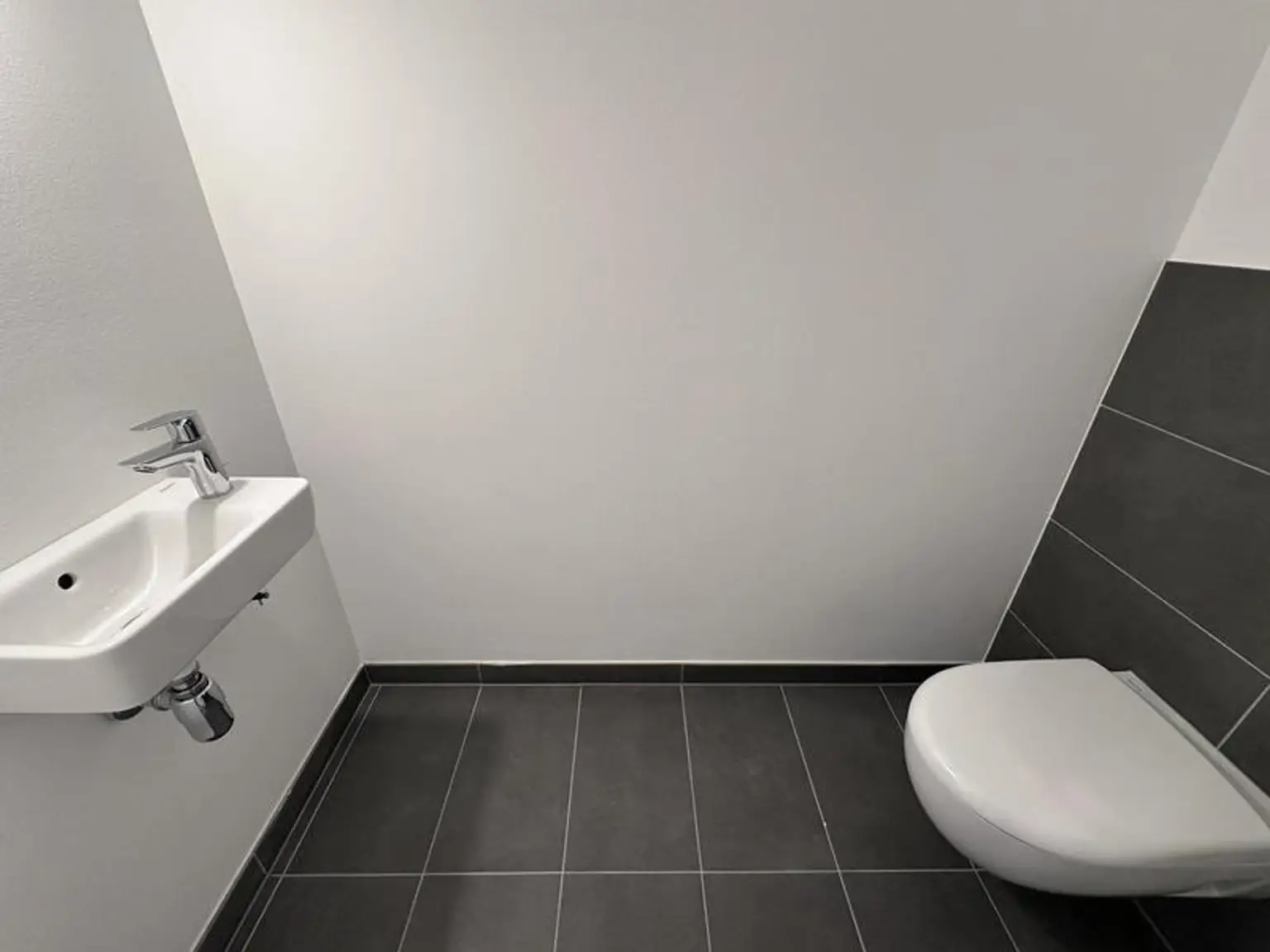 einen Katzensprung von Wien entfernt MIETE