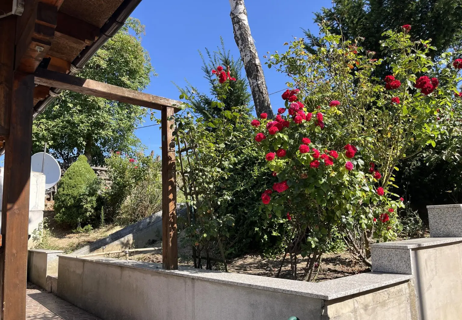 Garten